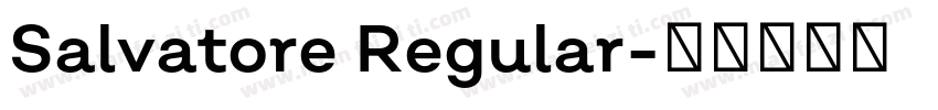 Salvatore Regular字体转换